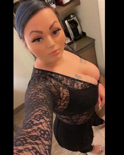 Sophy, escort in Whangarei - 10308